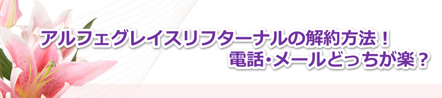 �A���t�F�O���C�X���t�^�[�i���̉����@�I�d�b����[���ǂ������y�H